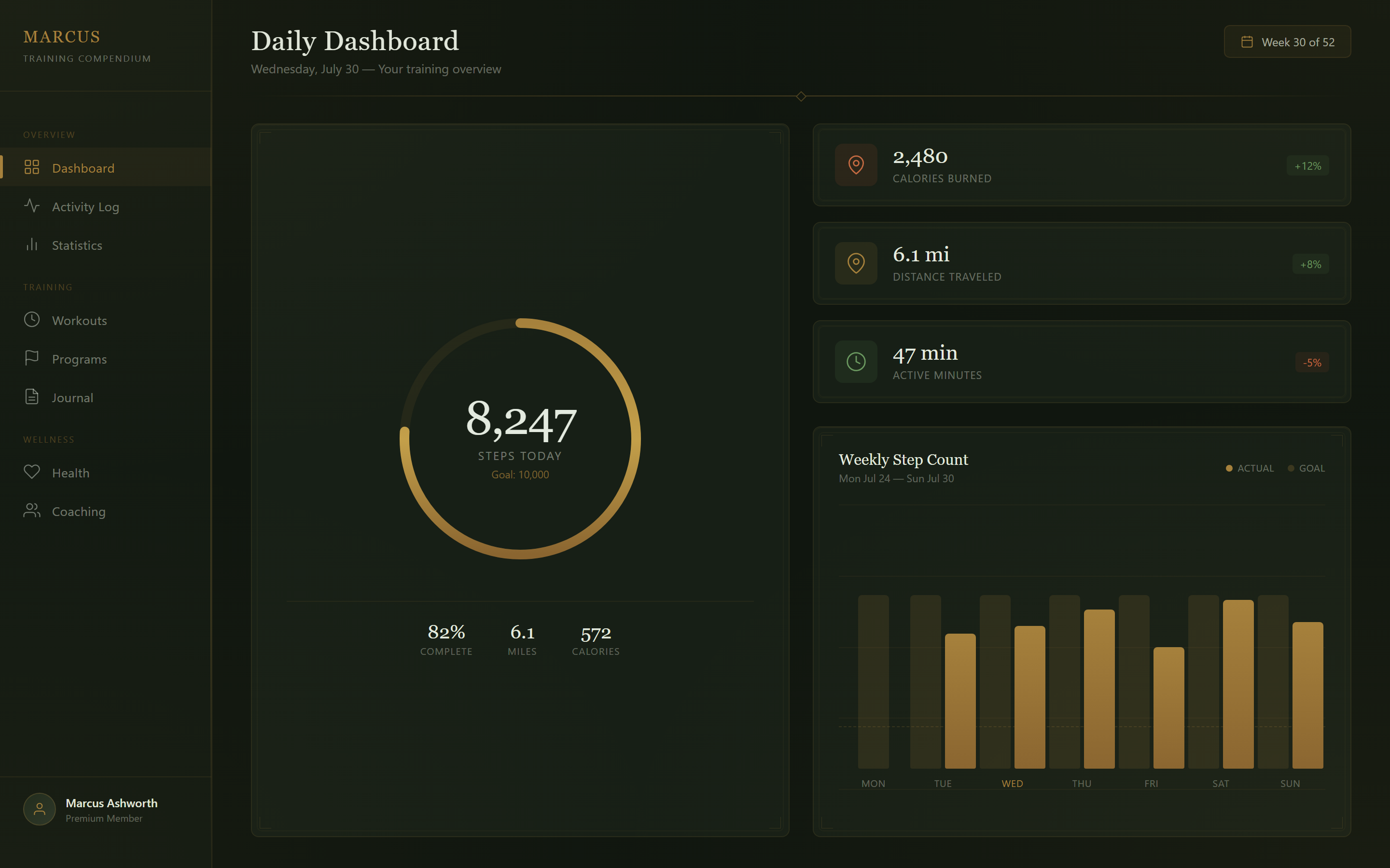 Dark Academia Fitness Stats
