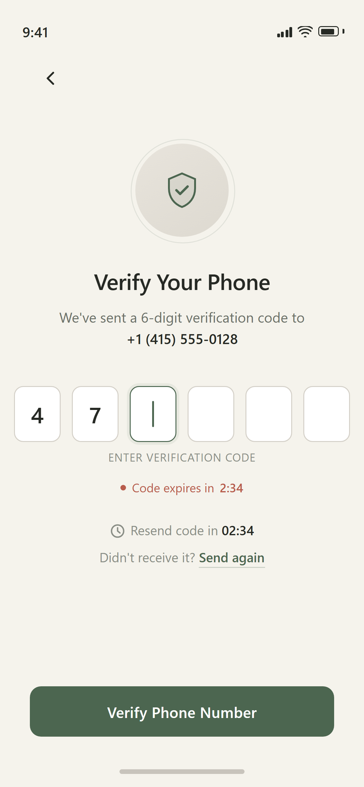 Scandinavian Nordic OTP Verification