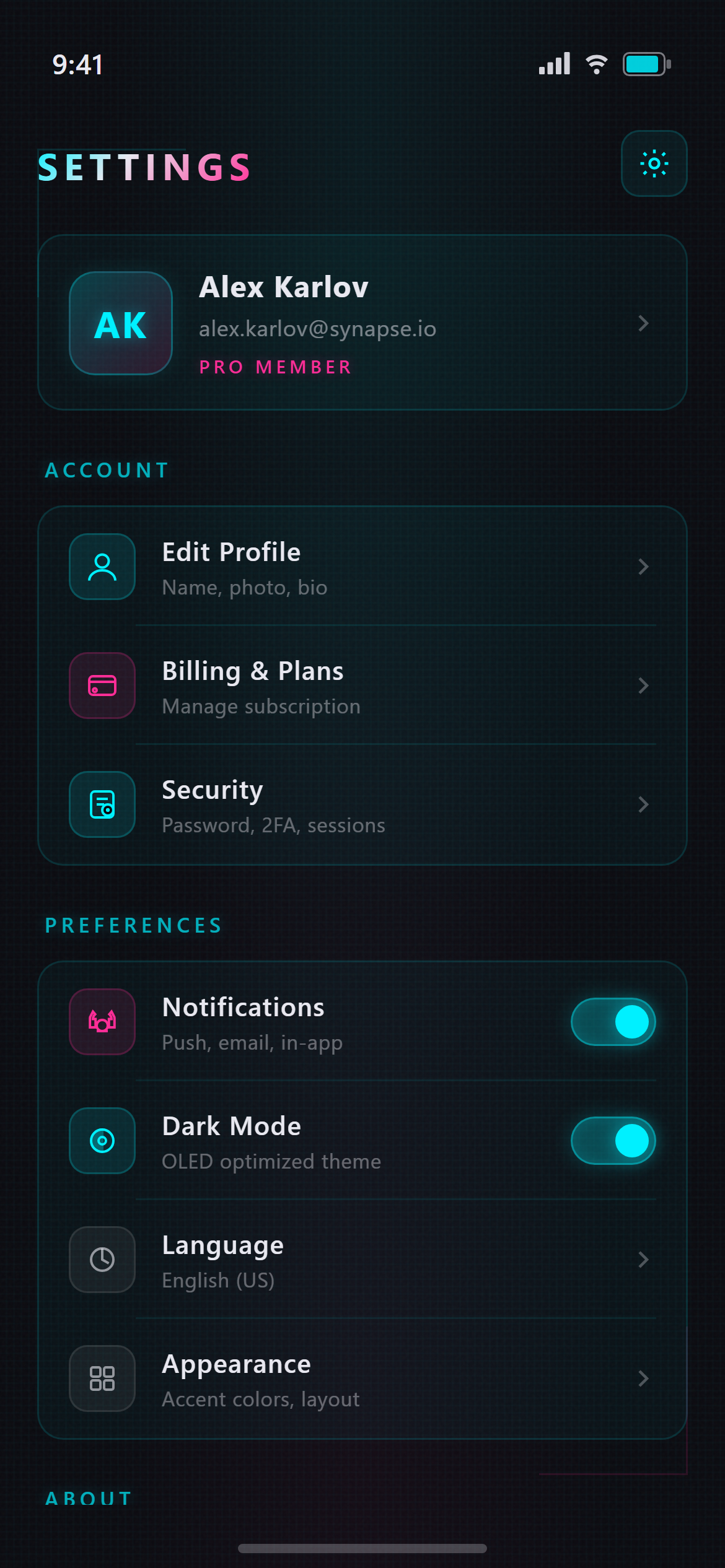 Neon Cyber Settings