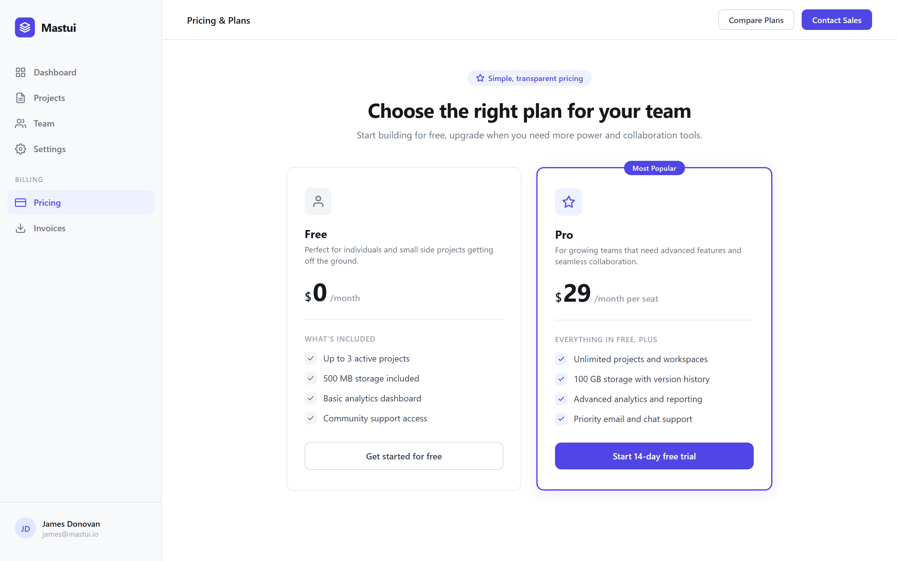 SaaS Clean Simple Pricing