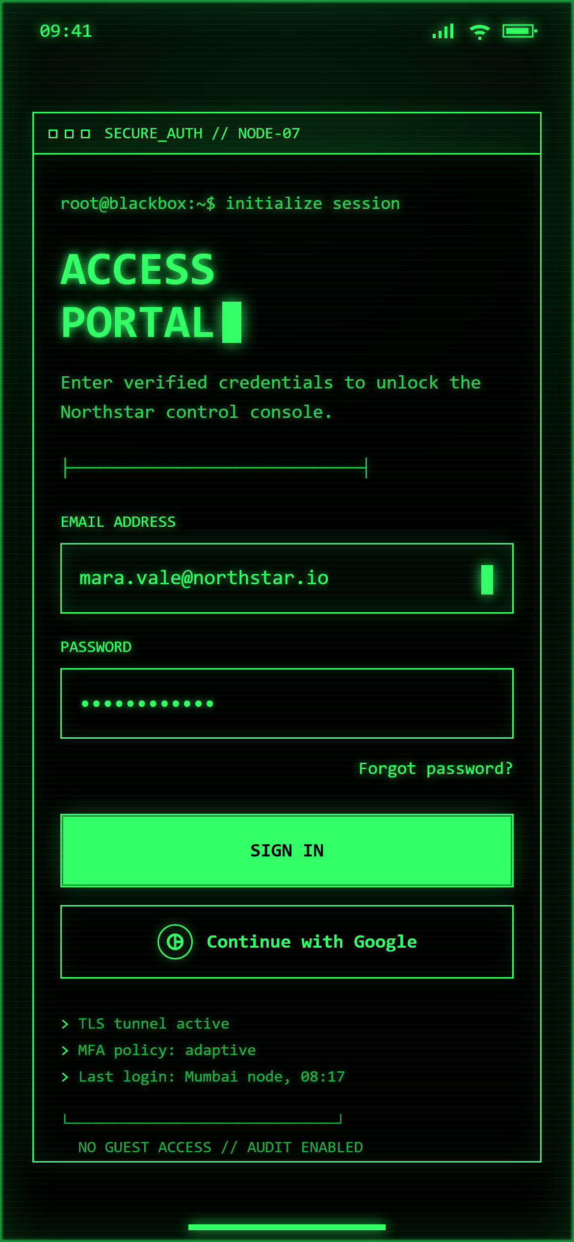 Terminal Hacker Login