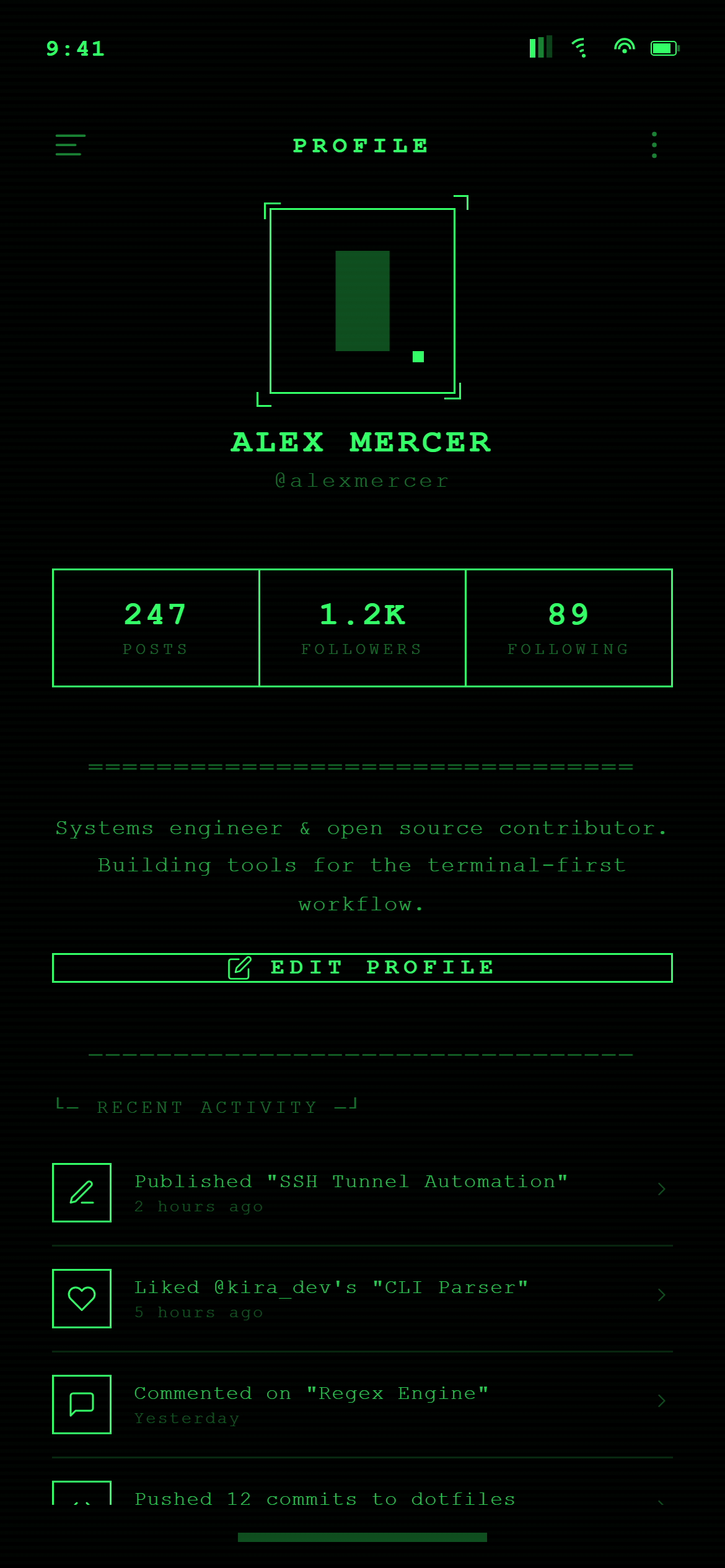 Terminal Hacker Profile